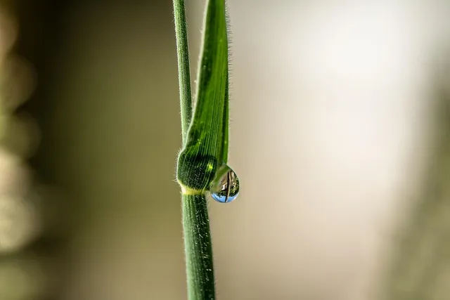 eyeemfiltered1567586664634.jpg