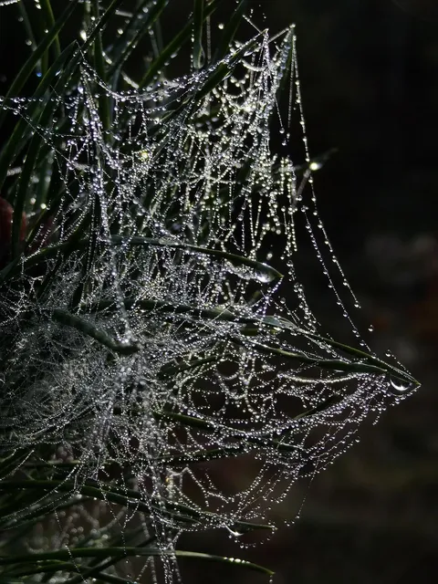 eyeemfiltered1567586544490.jpg