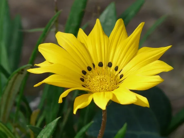 eyeemfiltered1567505928312.jpg